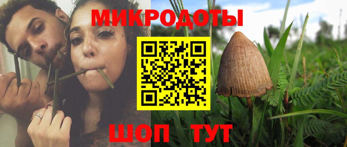 Псилоцибиновые грибы ЛСД Котовск