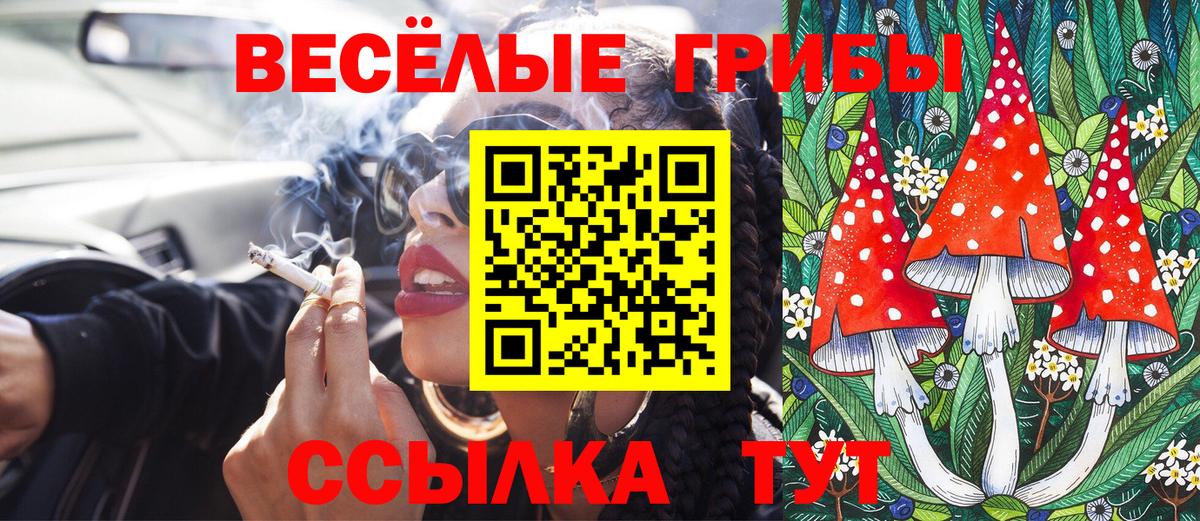 Галлюциногенные грибы Cubensis  Вход с VPN  Котовск 